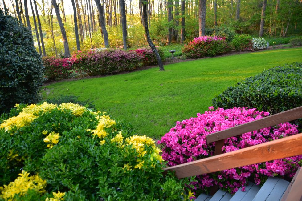 Redefining Finding Joy In The Little Things