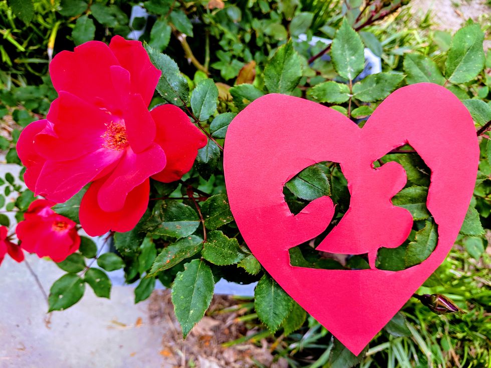 23 Pieces Of Life Advice I Learned By 23