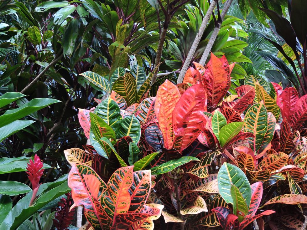 The Spring Slide: An Advice Column