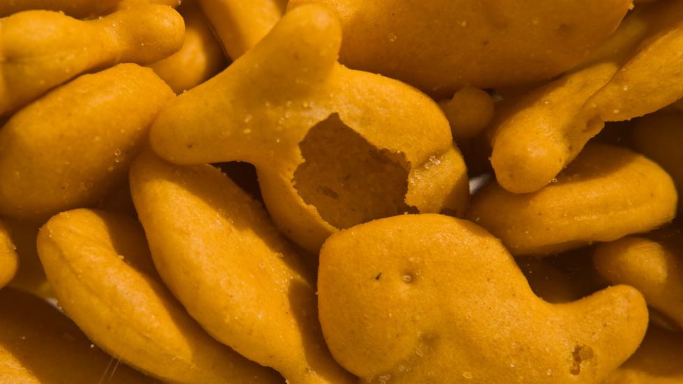 Unpopular Opinion: Whole Wheat Goldfish Are The Best Goldfish