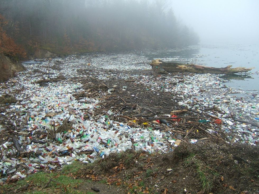 11 Easy Ways To Stop Using Plastic And Stop Killing The Earth