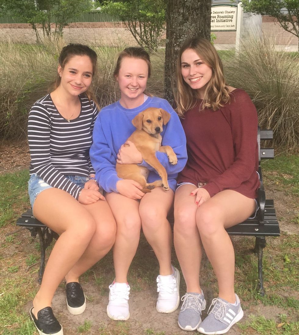 My Rescue Stole My Heart