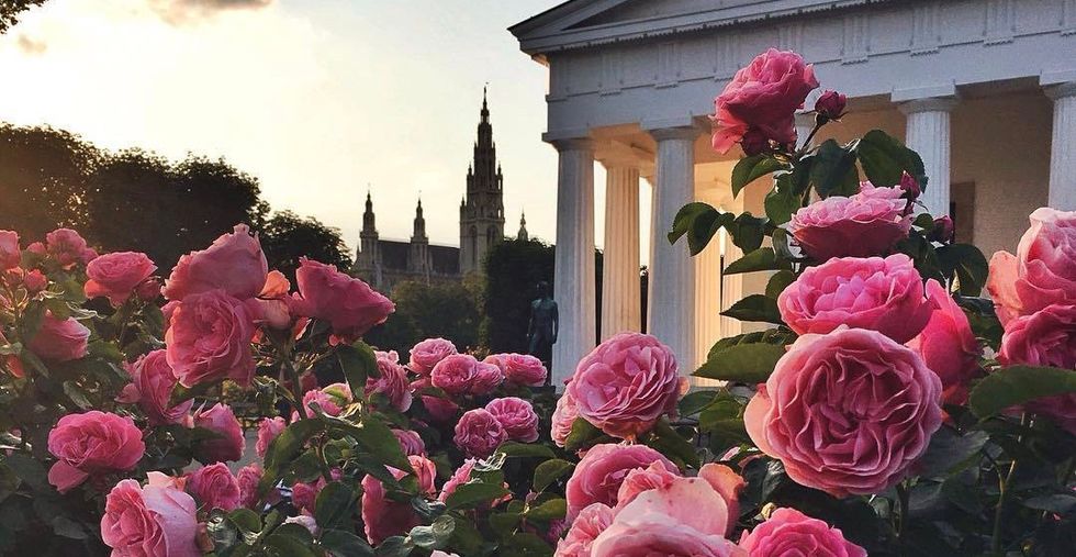 To Stressed, Overloaded College Students This Finals Week: Vienna Waits For You