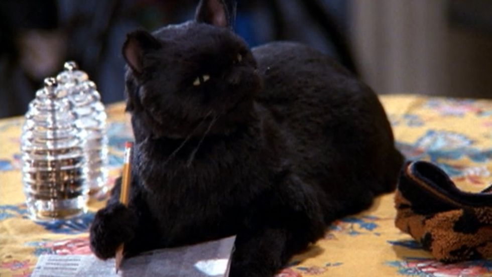 Finals Week As Told By The One AND Only Salem Saberhagen