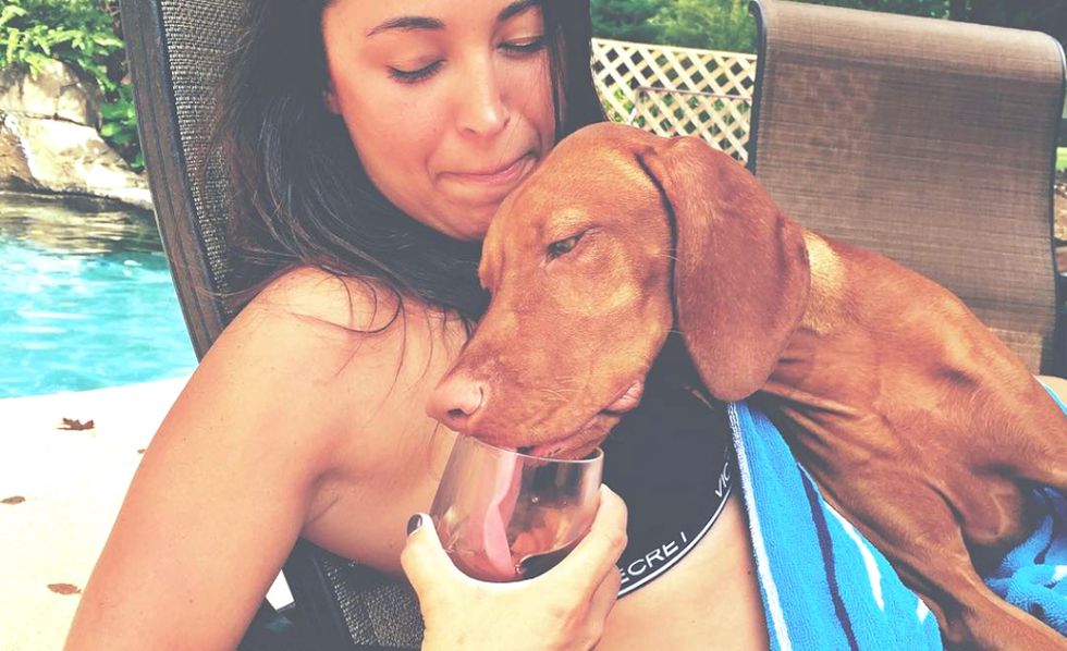 17 Wines For $17 Or Less That College Girls Can Drink, And Kind Of Afford