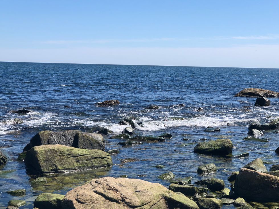 Essential Tips For Combatting Procrastination During Finals