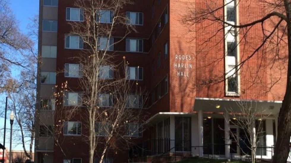 Living Alone Taught Me To Branch Out