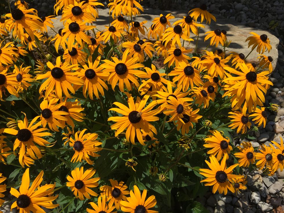 10 Reasons Why Anxiety Suck