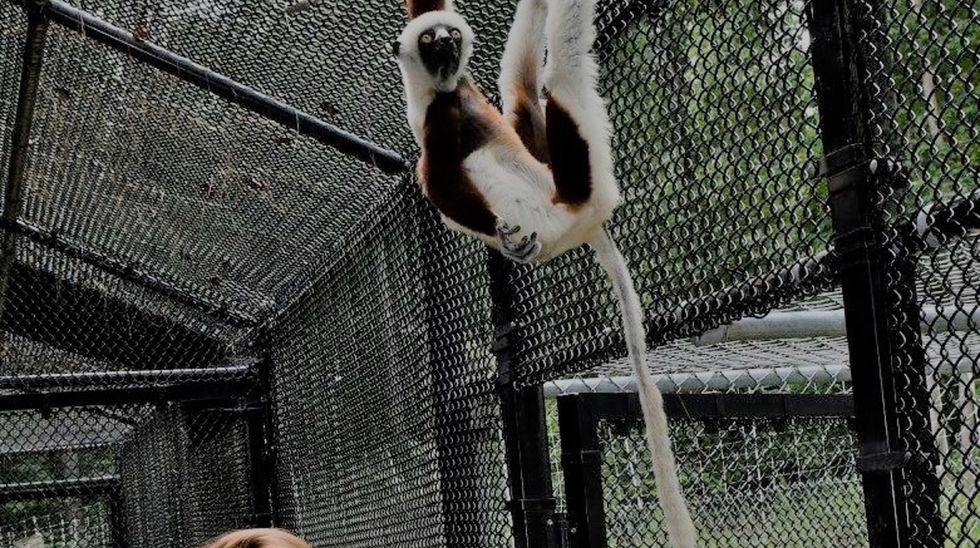 What It Was Like To Intern At A Fossil Lab