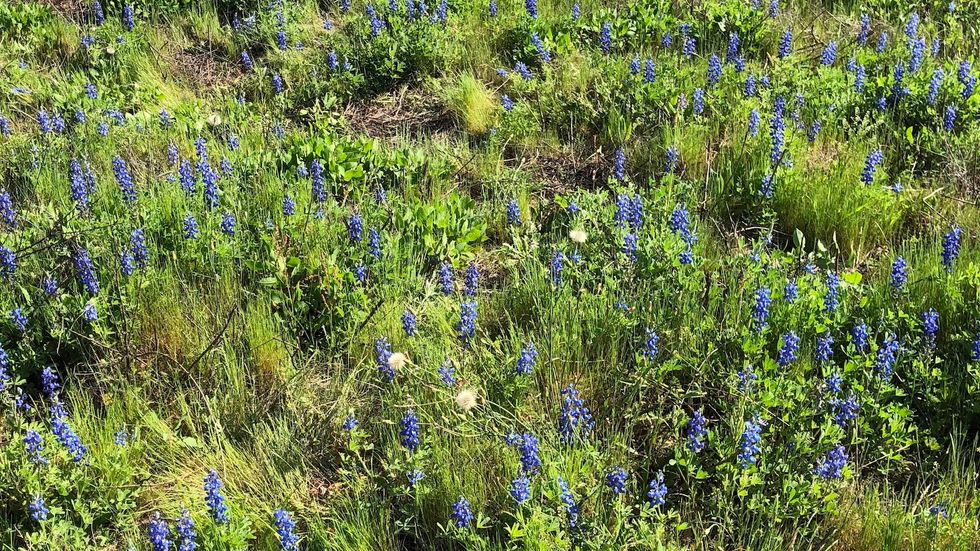 12 Bible Verses To Get You Through Finals Week