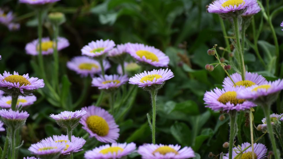 11 Ways College Students Can Help Save The Environment