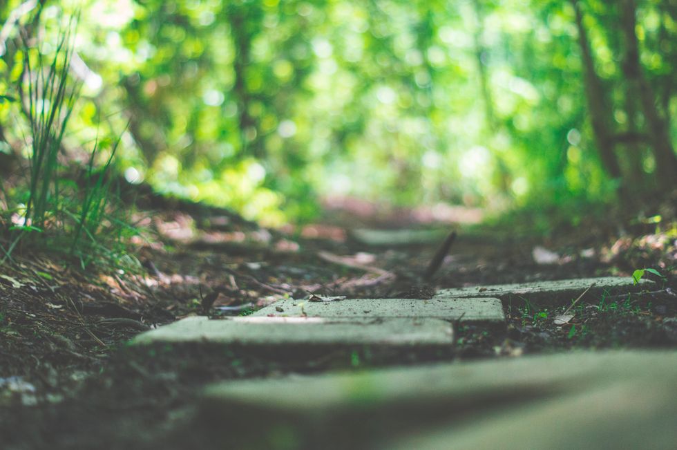 Life Is Way Too Short To Pass Up Opportunities