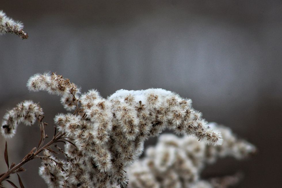 Finding Rest In Our Restlessness