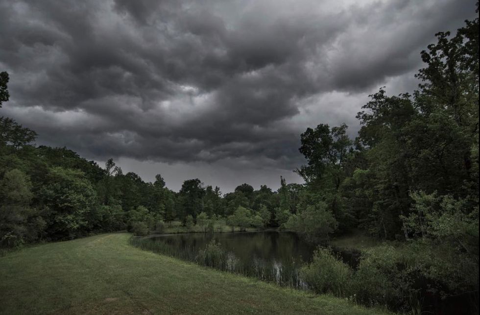 9 Scenes You Might See On A Small Farm