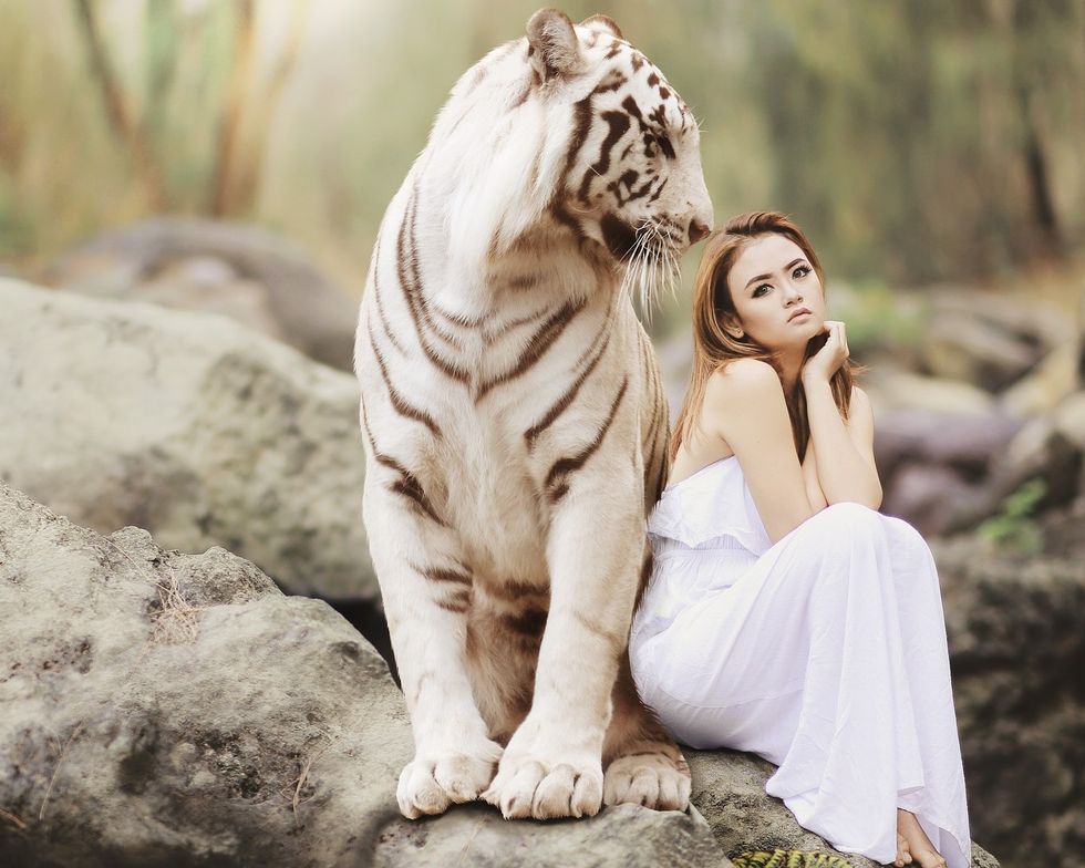 13 Random Animals And Facts That Will Blow Your Mind