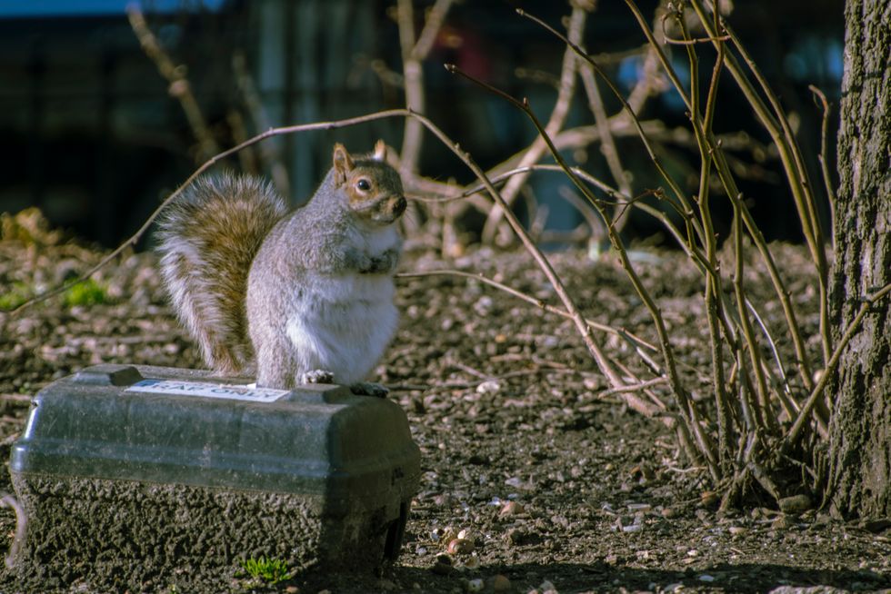 5 Steps To Becoming A Better Photographer