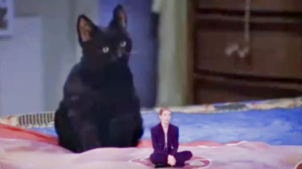 15 Reasons Salem Is Every College Student's Spirit Animal