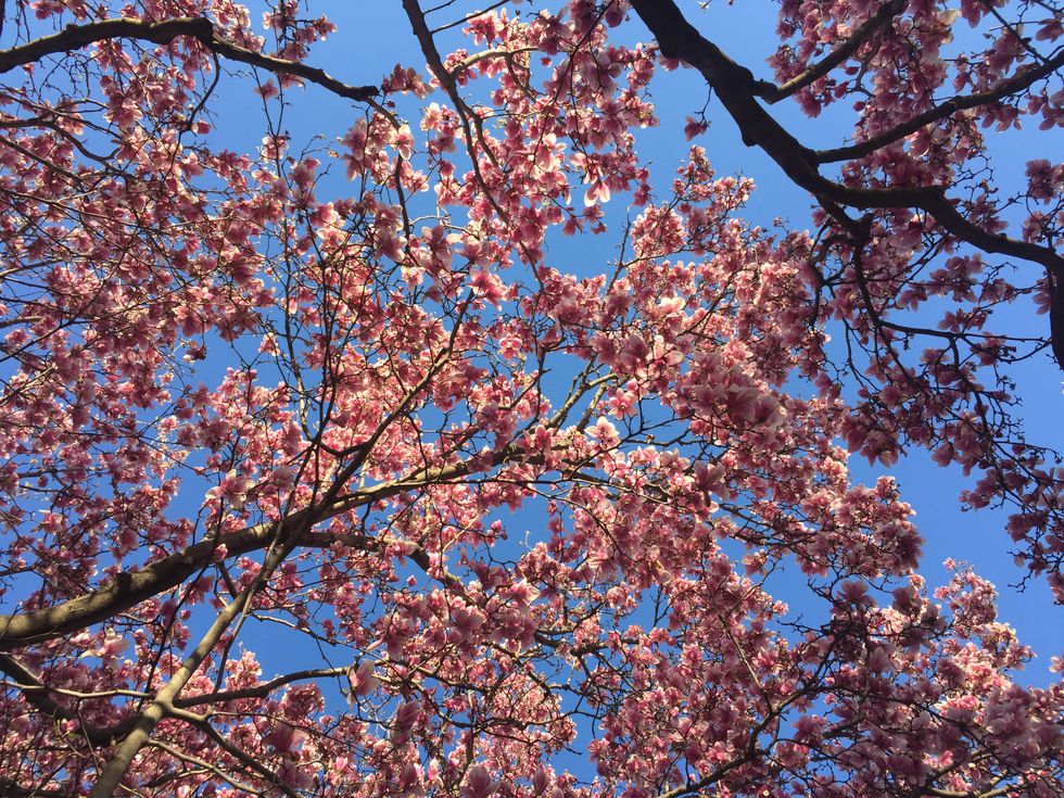 Life In DC Has Taught Me That I Don't Have To Run Around Like A Chicken With My Head Cut Off