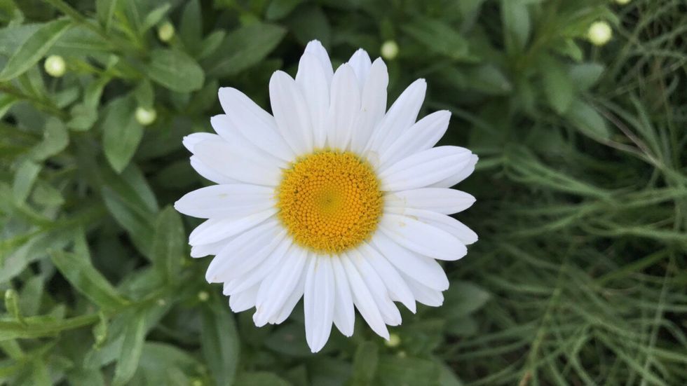 10 Bible Verses To Get You Through Finals Week