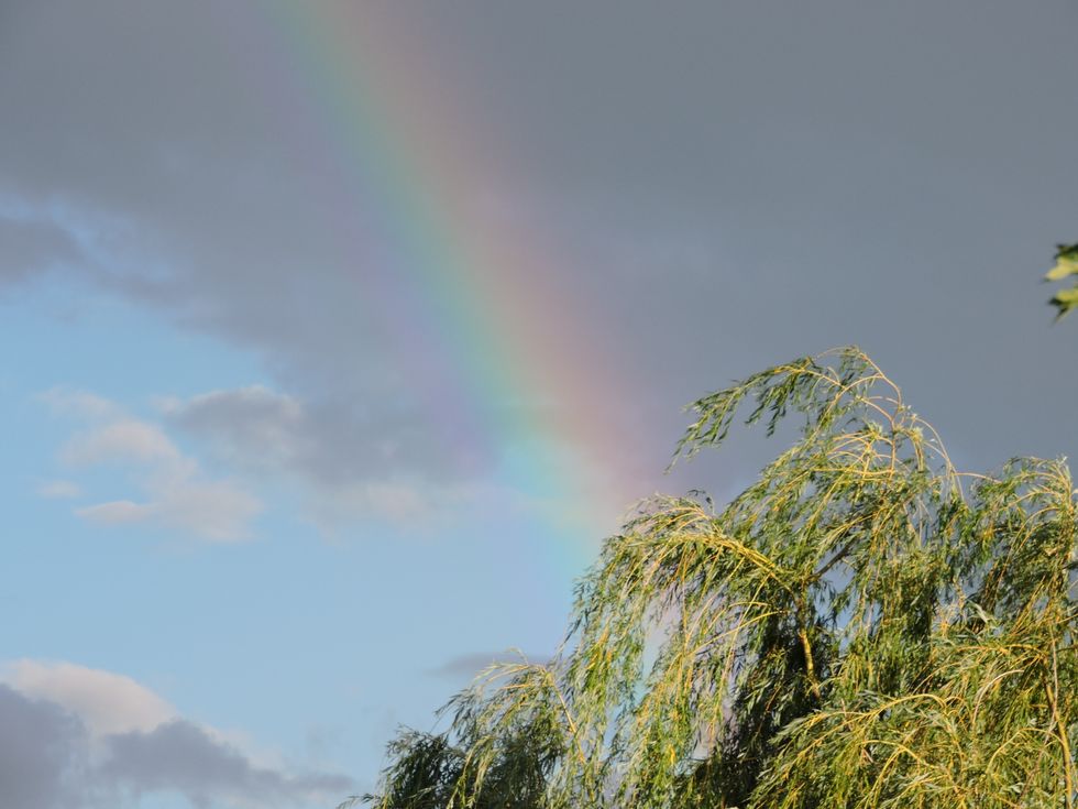 How Performing Feels