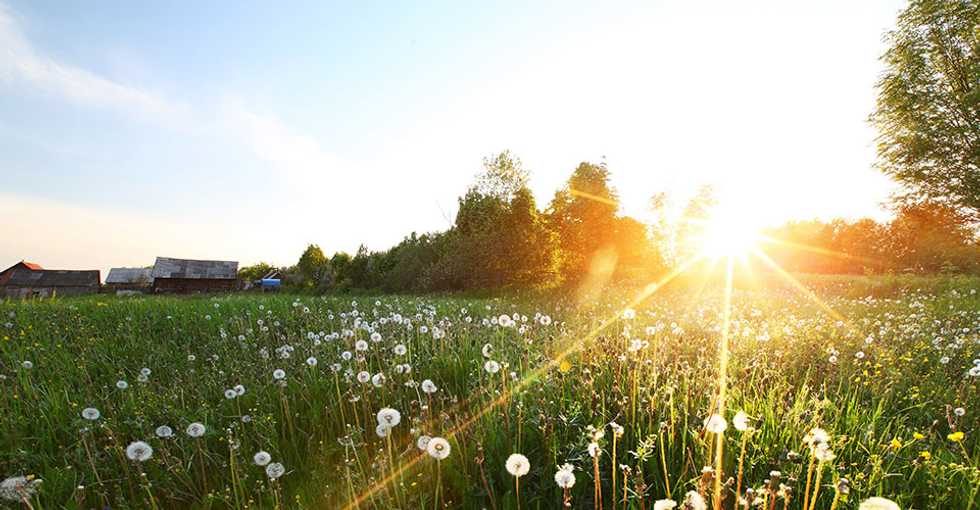 15 Things to Make This Summer the Best One Yet