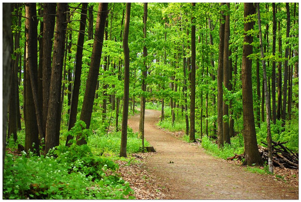 To the Child of Parents Getting Divorced