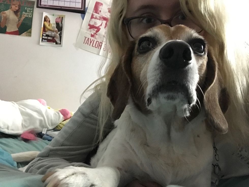 If I Could Read My Dogs Mind These Would Be The 12 Thoughts My Dog Has When I Return Home From College