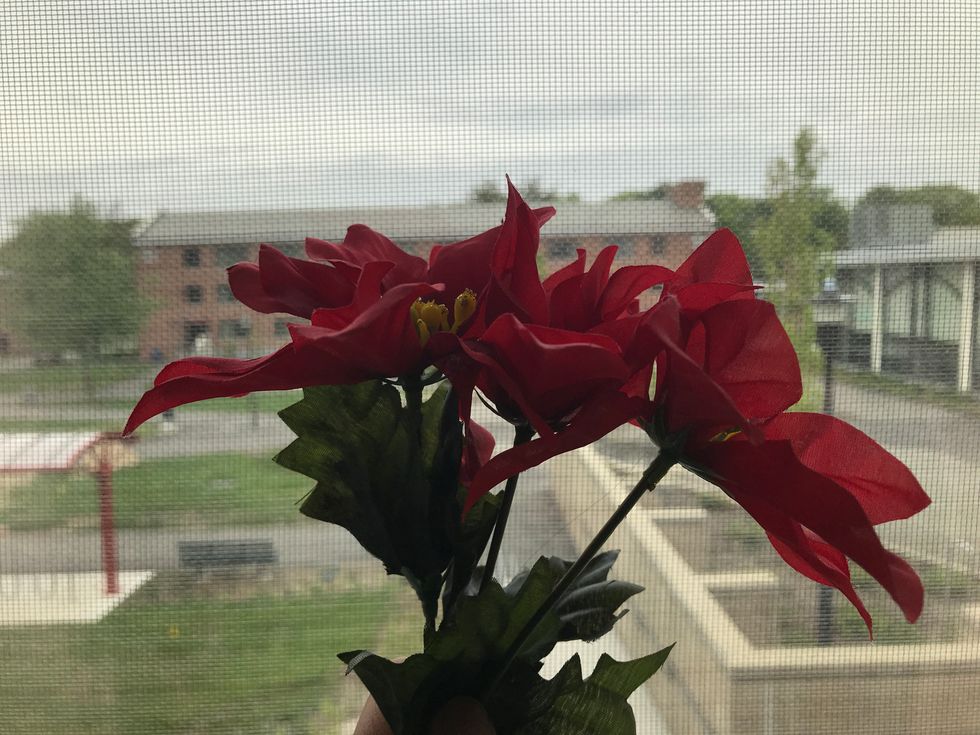 Fighting 13-Year-Old You