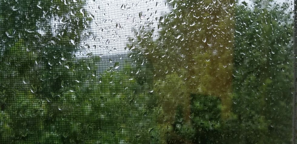 Do You Ever Stop To Watch The Rain?