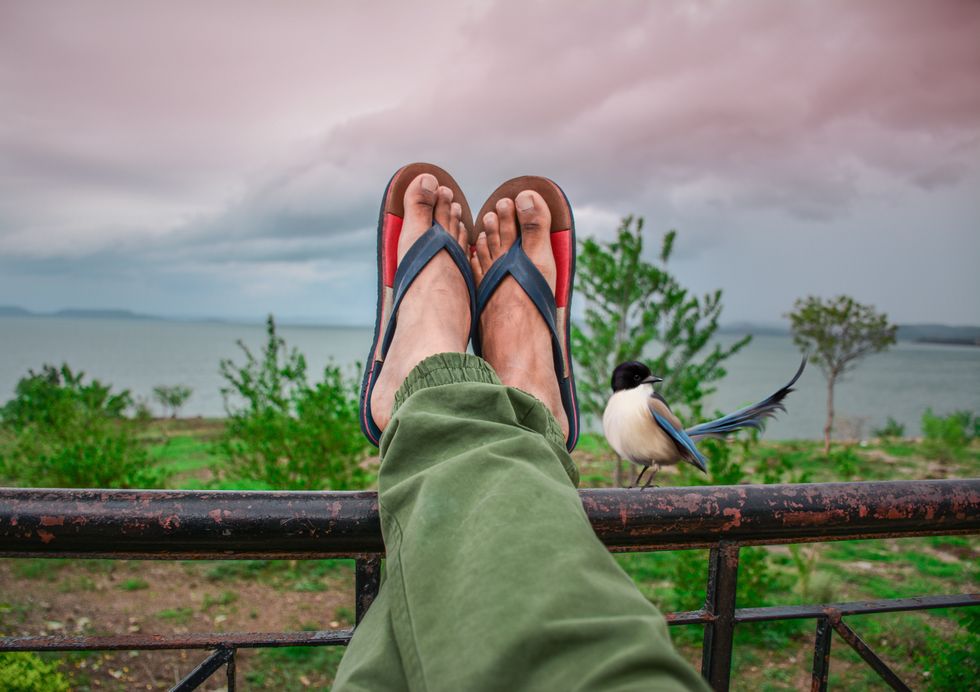 If You Just Finished Your Freshman Year Of College, Relax