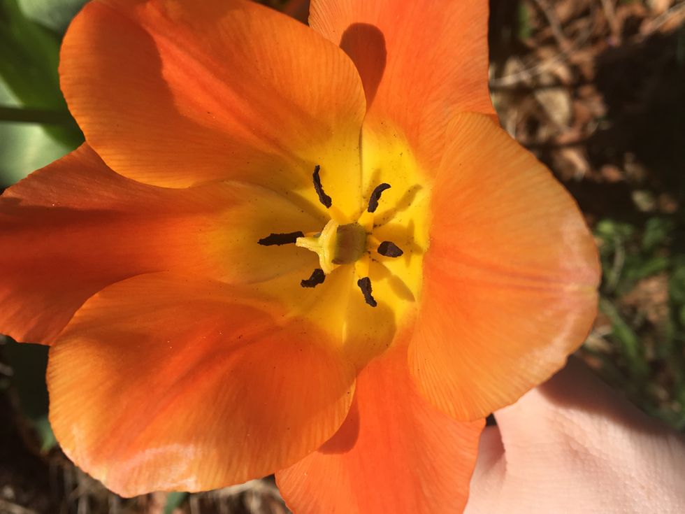 Photography Has Become My Stress Reliever, No Filter Needed