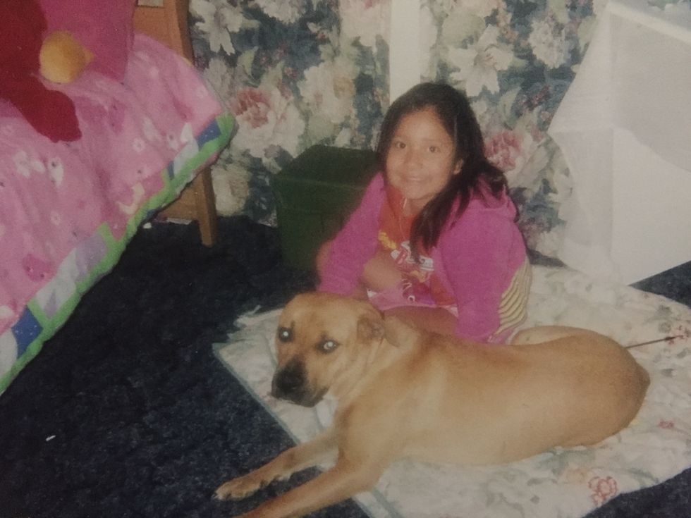 Society Needs To Stop Incriminating Dog Breeds Because Pit-Bulls And Rottweilers Are Not All Mean