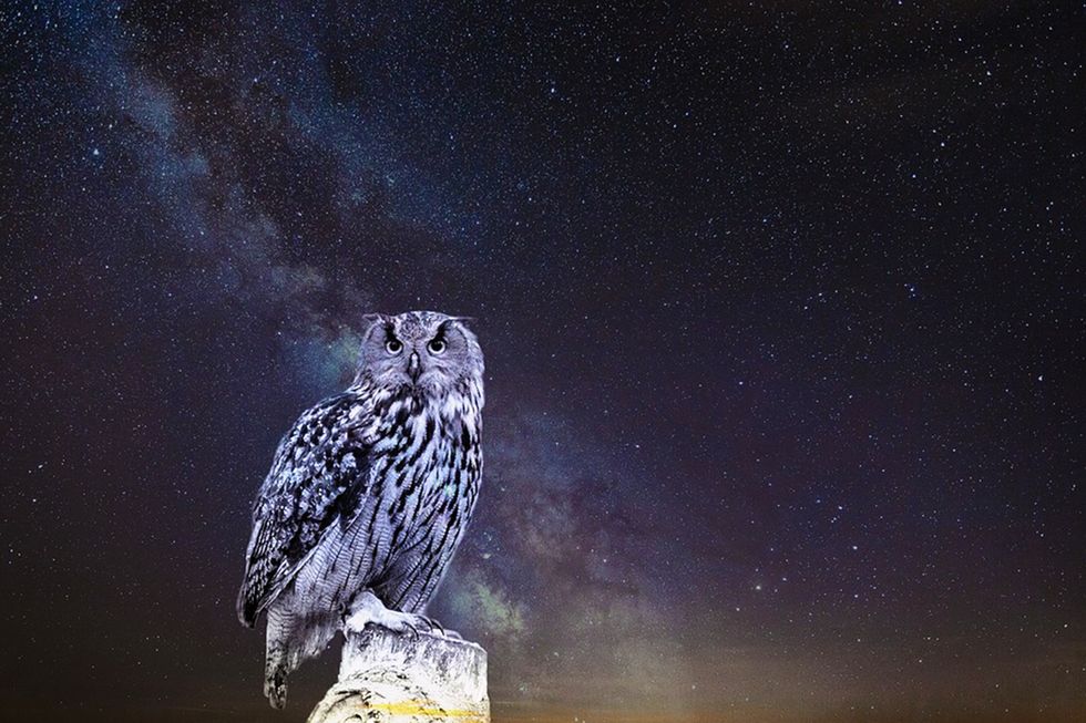 11 Things Night Owls Know To Be True
