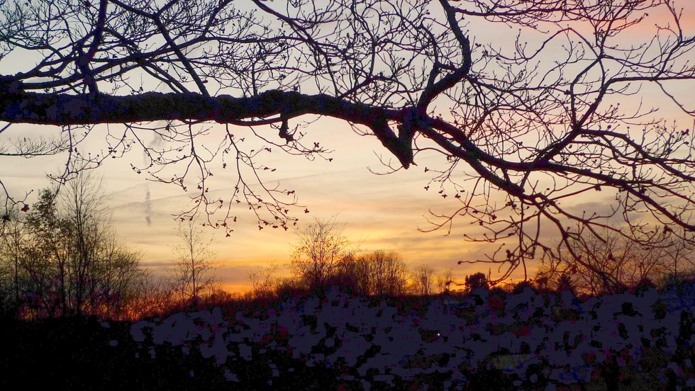 Poetry On Odyssey: Who Is Really The Sinner?