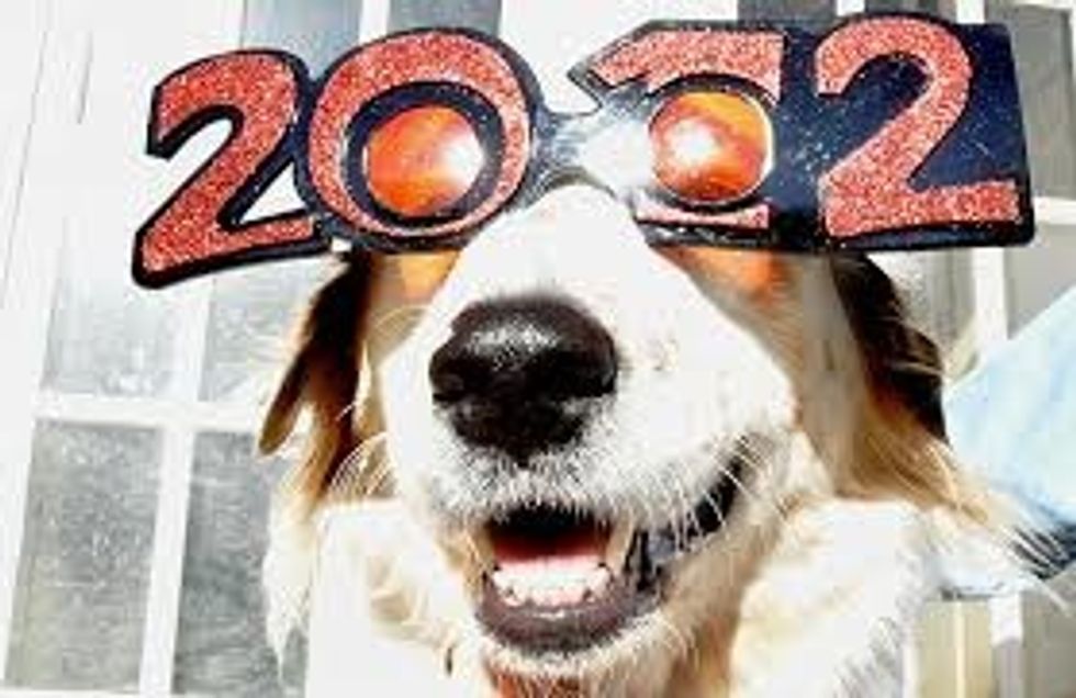 12 reasons why 2012 was the best year in the history of the universe!