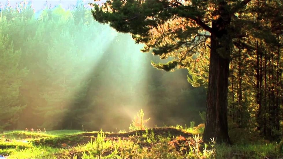 When the Miracle Doesn't Happen