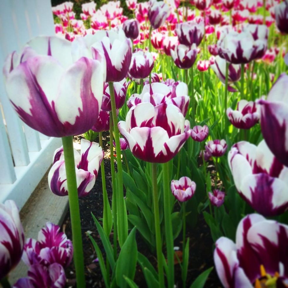 Grieving the Death of an Angel