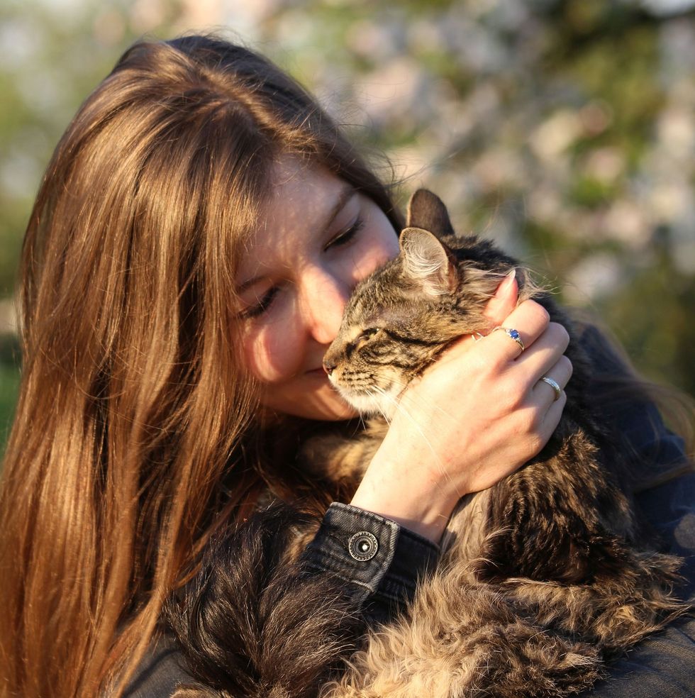 15 Ways Cats Tell You That You're Purrfect For Them