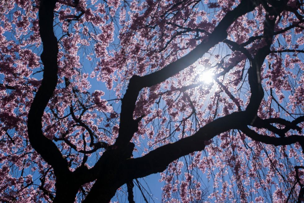 Photography On Odyssey: Becoming  A Better Photographer