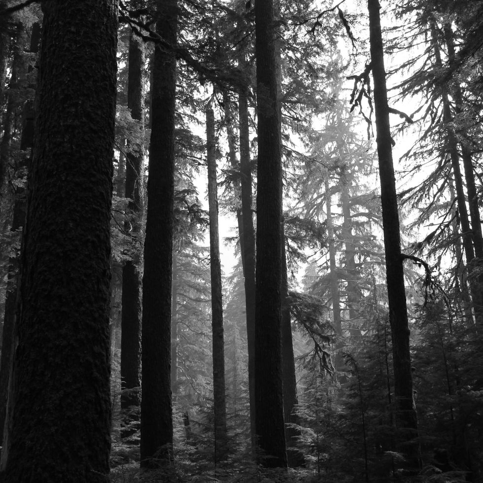 The Journey From Small Boy to Tall Boy