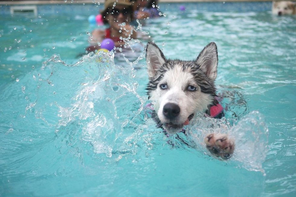 21 Ways College Kids Spend The Dog Days Of Summer Like These 21 Good ...