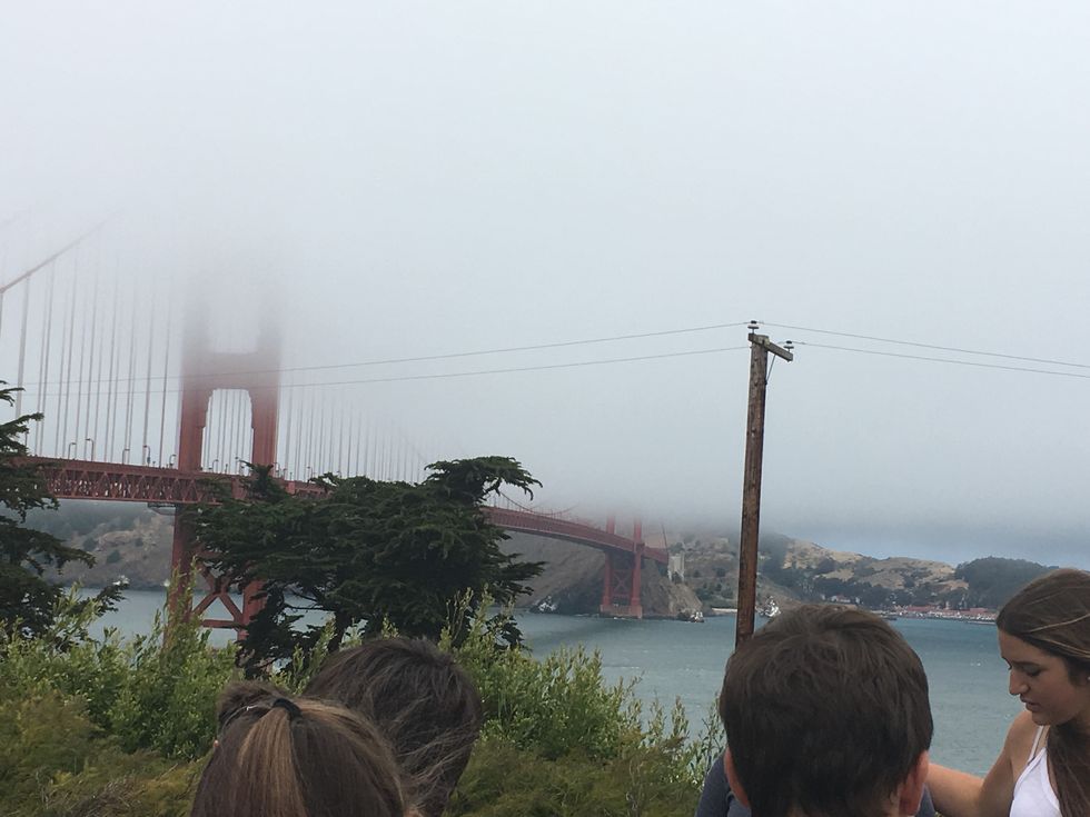 36 Things That'll Just Make You Happy Since A Lot Of This World Sucks Right Now