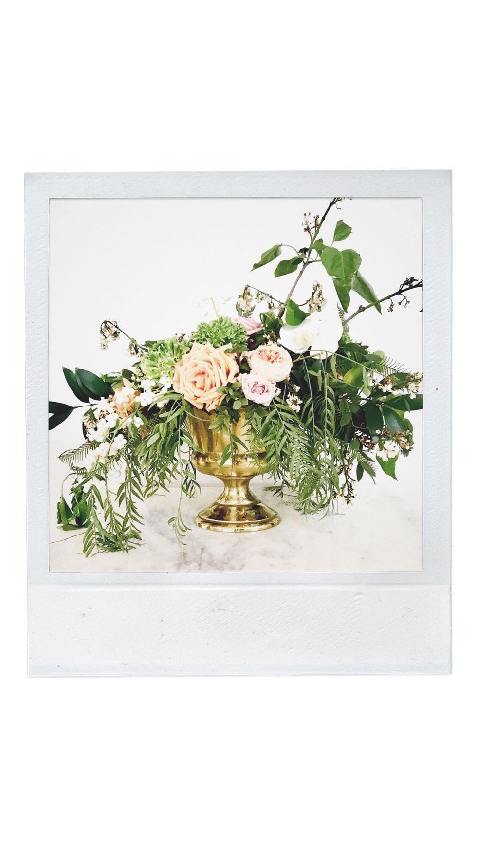 A Fault in My Gender