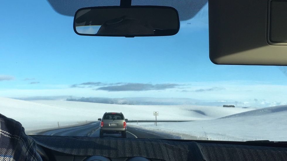 Why Thank You, Officer, I Really Needed And Wanted That Ticket