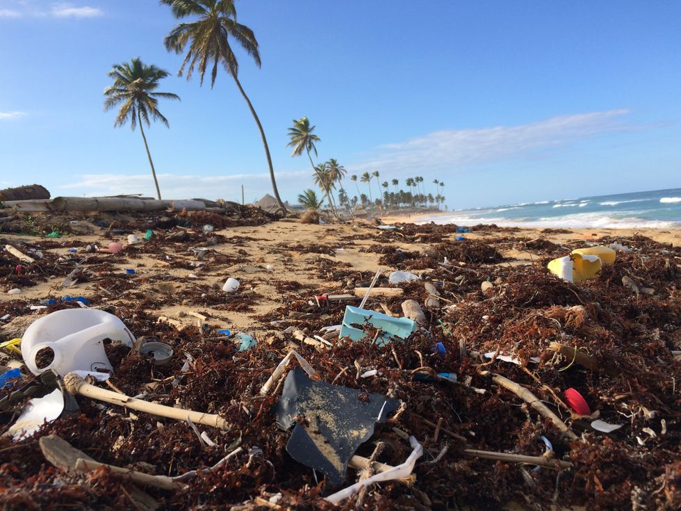 If You Would Just Stop Using Plastic Straws, You Could Save The Planet