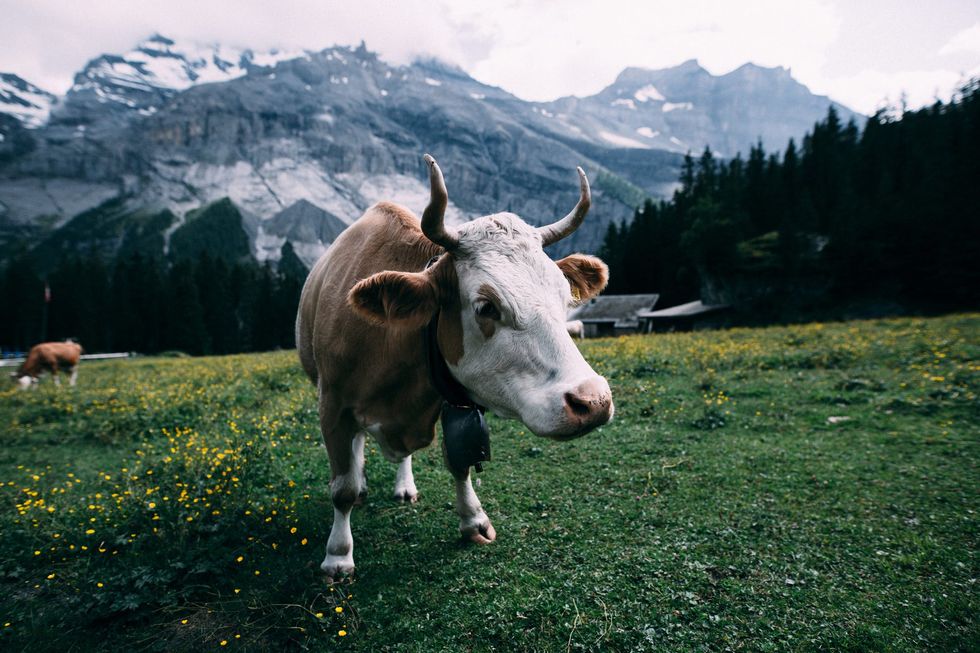 21 Things I Noticed Within My First 24 Hours In Switzerland That Are Different From America