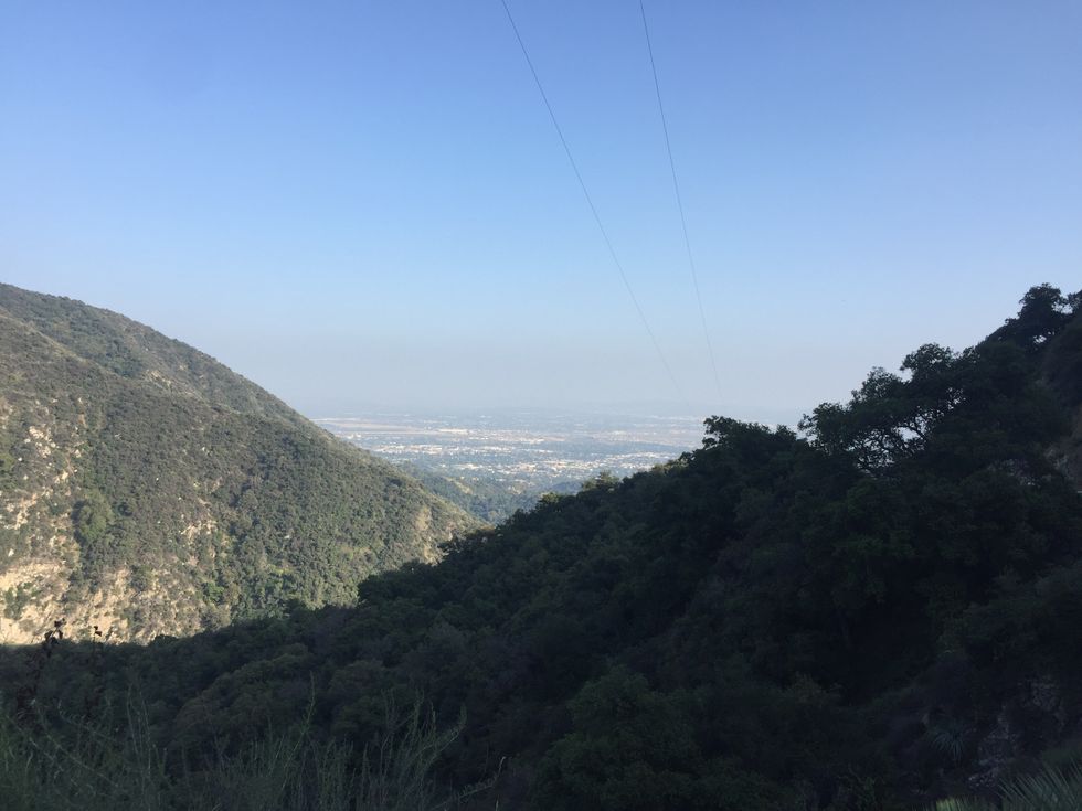 Get Outside Before You Die, Smokey the Bear Recommends It