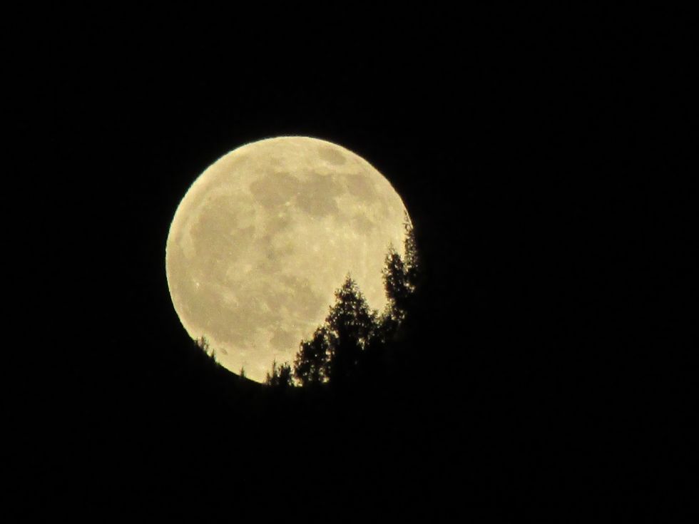 How The Full Flower Moon Affected Me