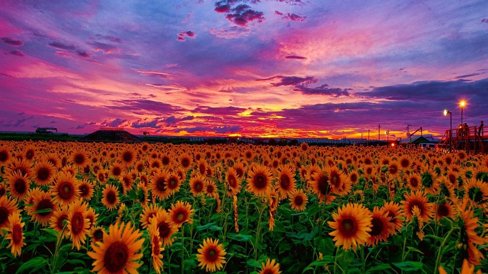 Therapy Isn't A Bad Word