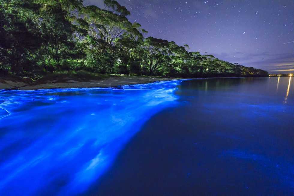 Fiction on Odyssey: A Message from Mumbai On Ocean Climate Change